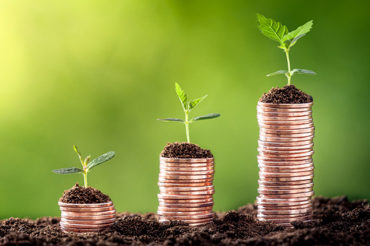 concept de l’investissement ESG illustré par de la monnaie empilée et des semis qui poussent au-dessus. 